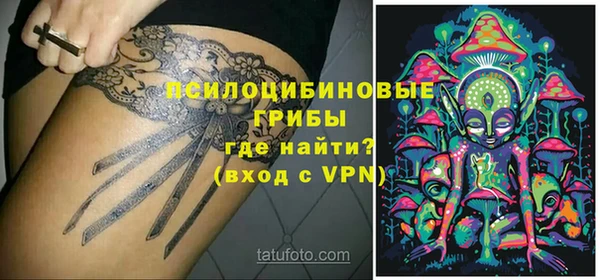 молекула духа Вязьма
