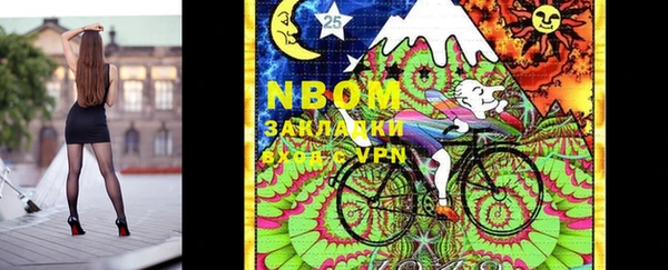 молекула духа Вязьма