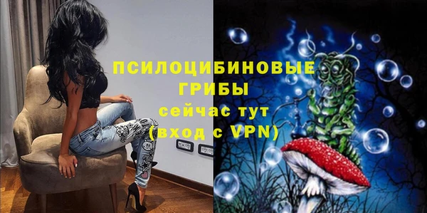 apvp Горно-Алтайск