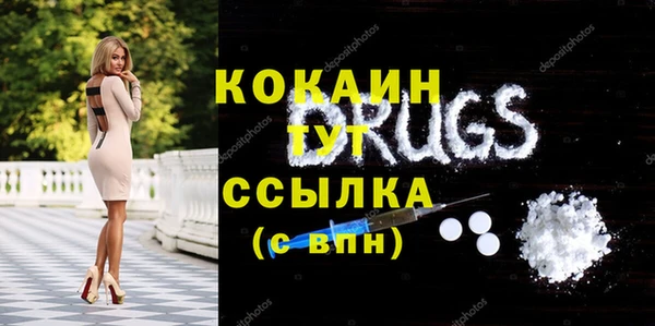 молекула духа Вязьма