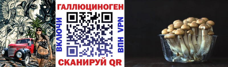 Псилоцибиновые грибы Psilocybe Данилов